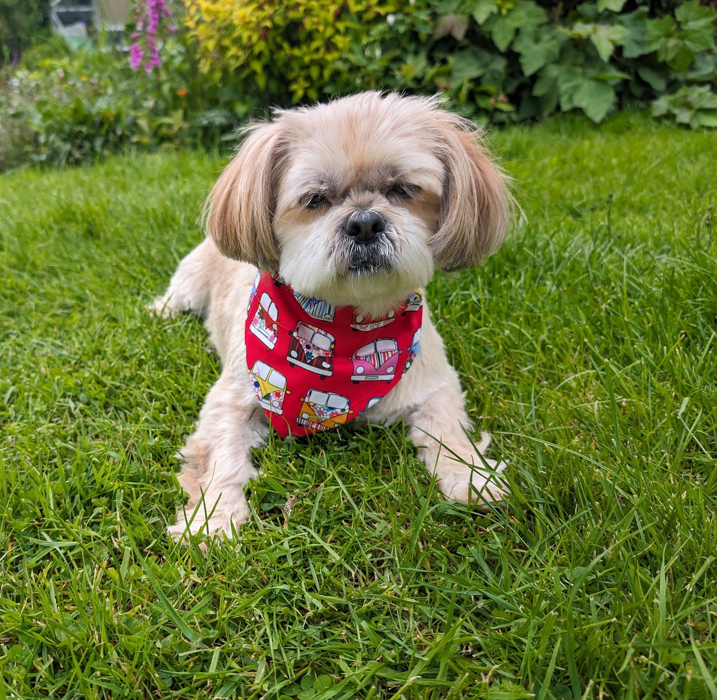 Tie on Red Camper Van Dog Bandana on Remy the Dog