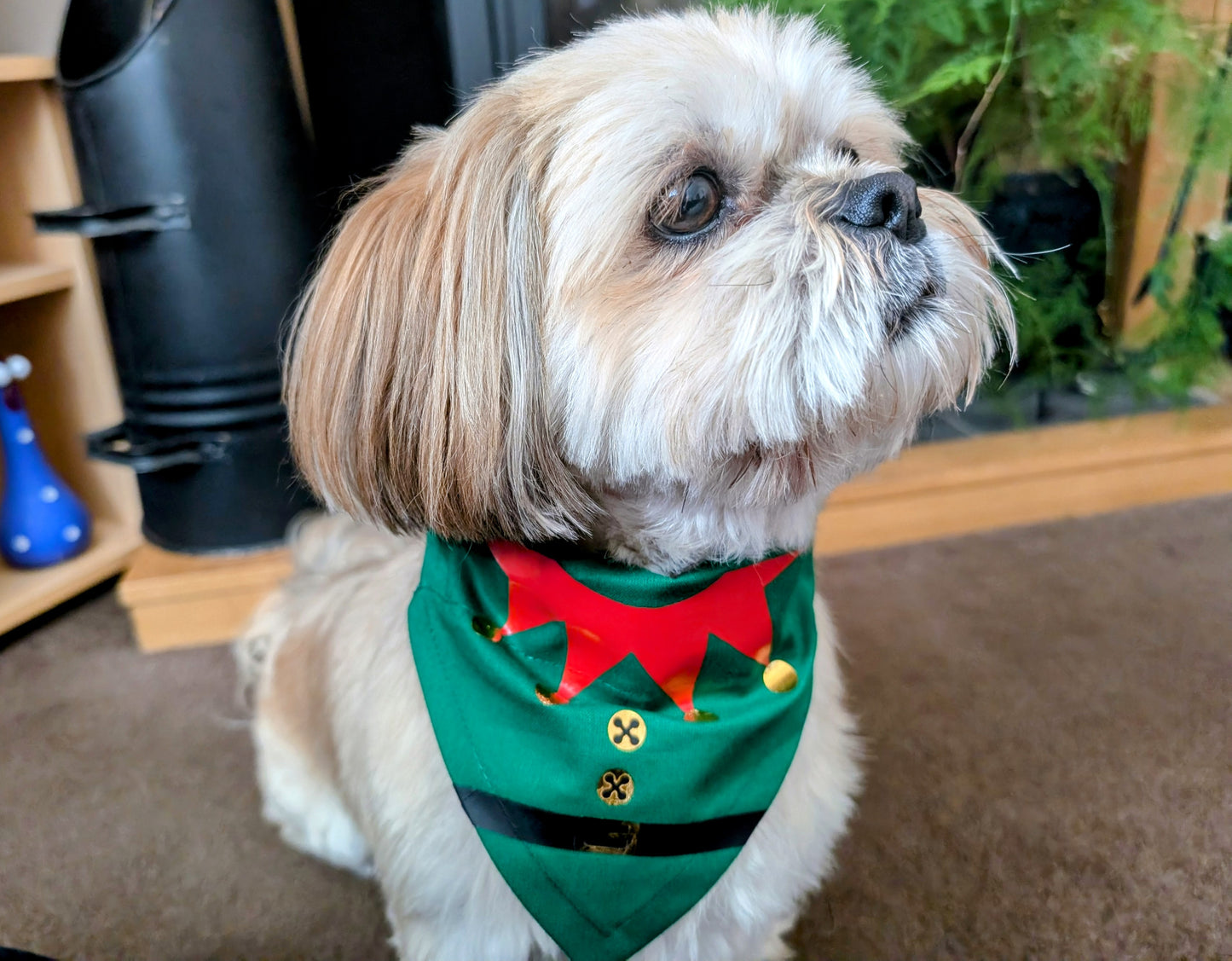 Christmas Elf Dog Bandana on Remy the Dog