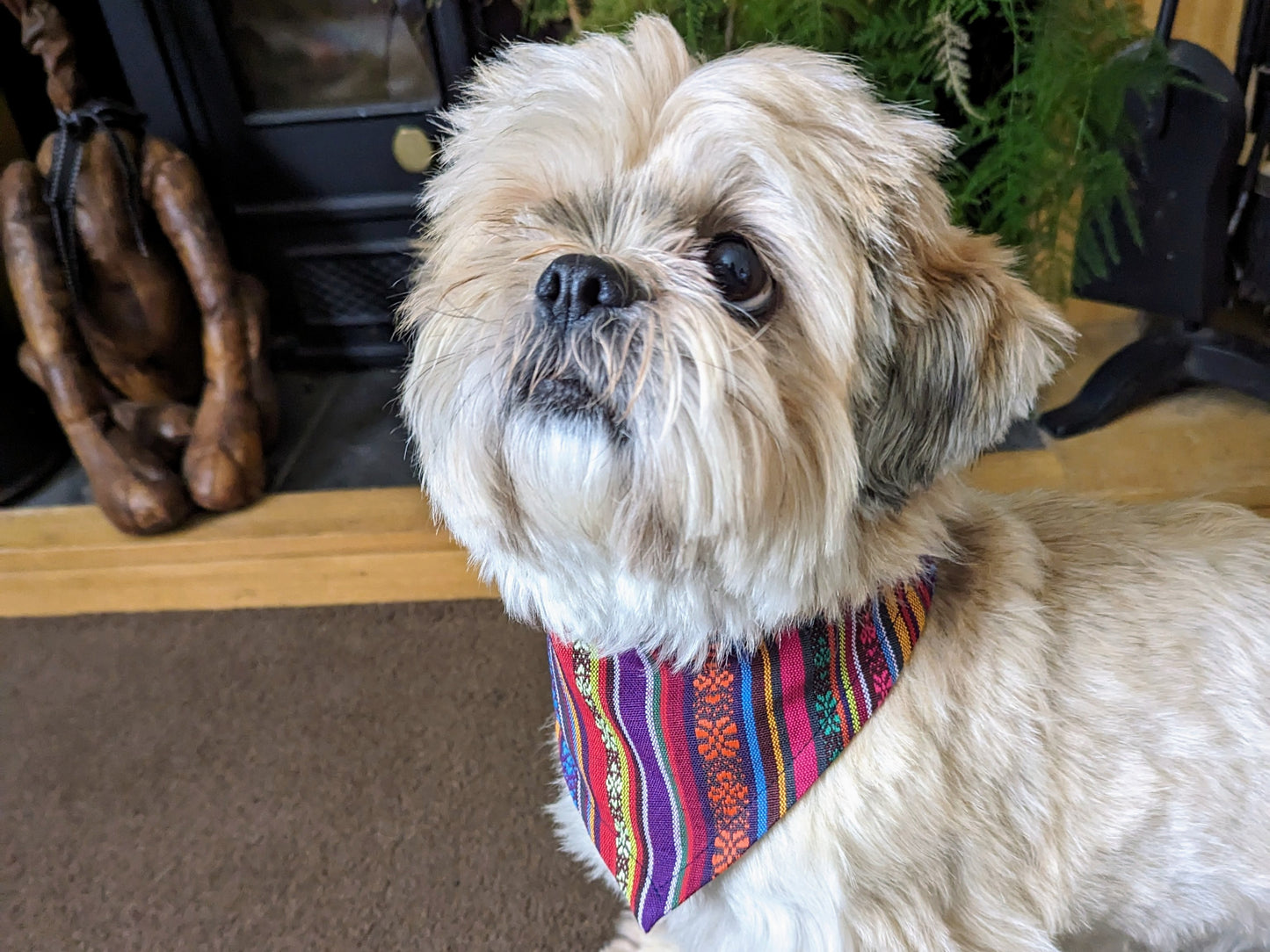 Tie on Mexican/Tribal Dog Bandana On Remy The Dog