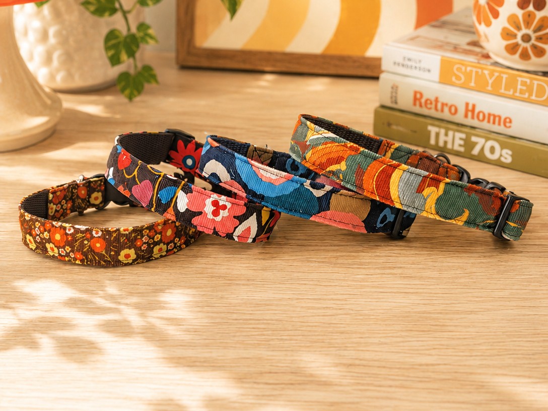 Green and Orange Swirly Print Retro Style Dog Collar