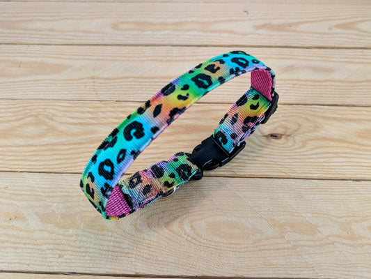 Multi-coloured Leopard Print Dog Collar