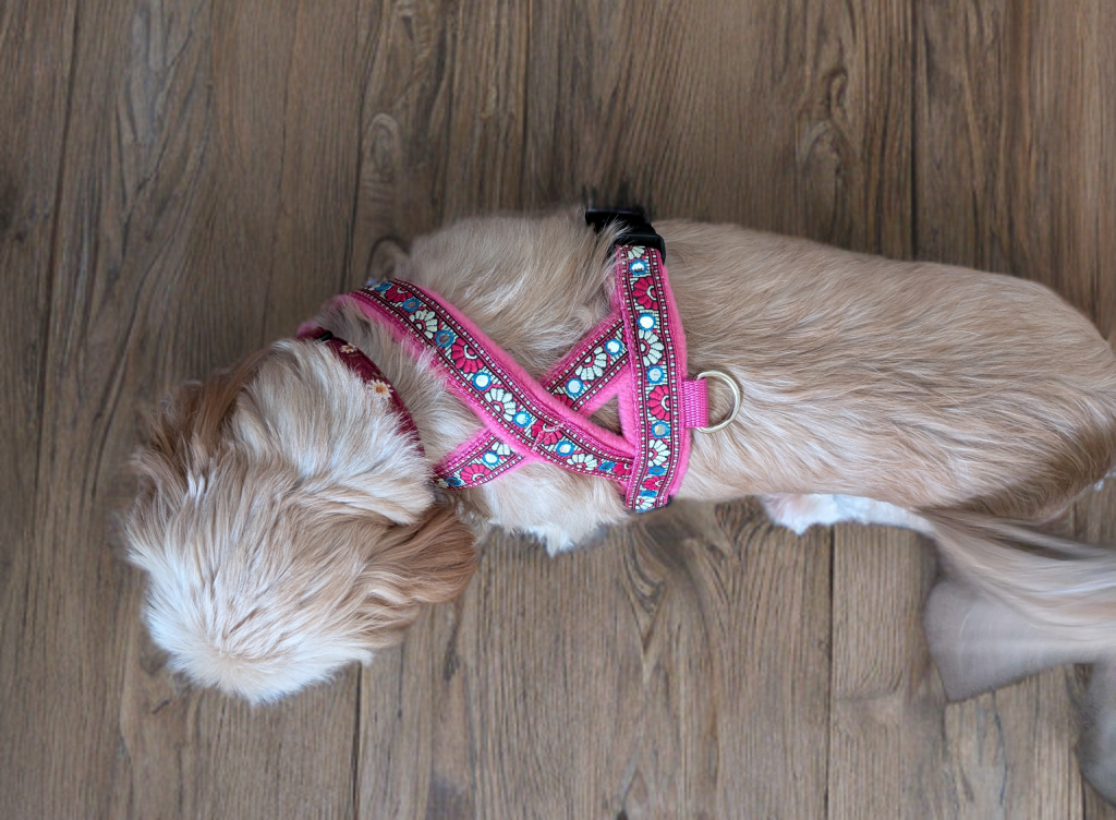 Cerise Mirrored Fleece Lined Dog Harness