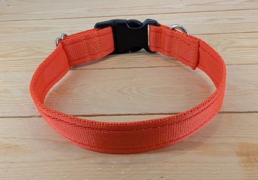 Classic Dog Collar