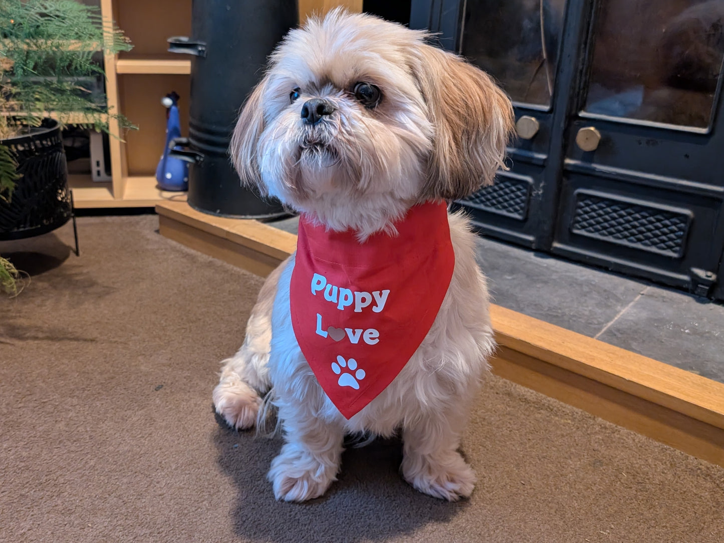 Puppy Love Dog Bandana
