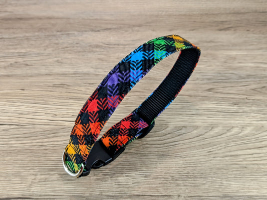 Rainbow Check Dog Collar
