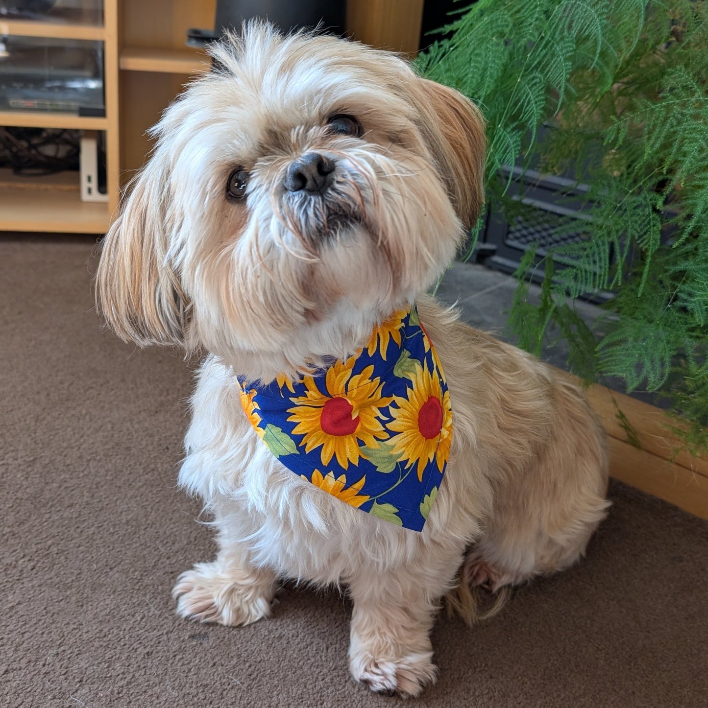 Sunflowers Dog Bandana