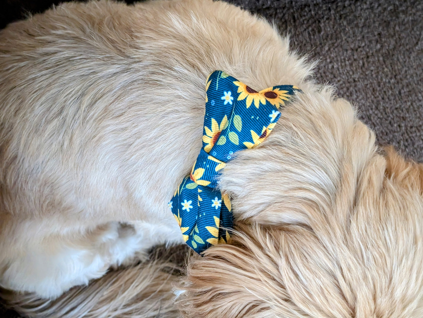 Sunflowers Dog Bow Tie