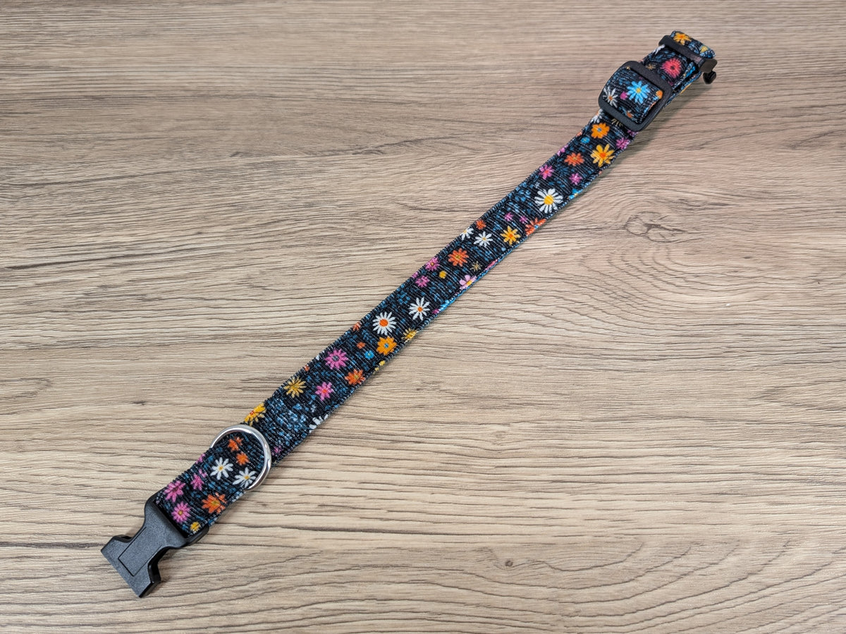 Teal Daisy Floral Dog Collar