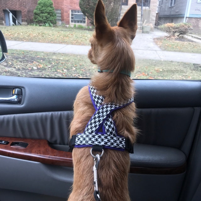 Black & White Houndstooth Check Dog Harness on Dog