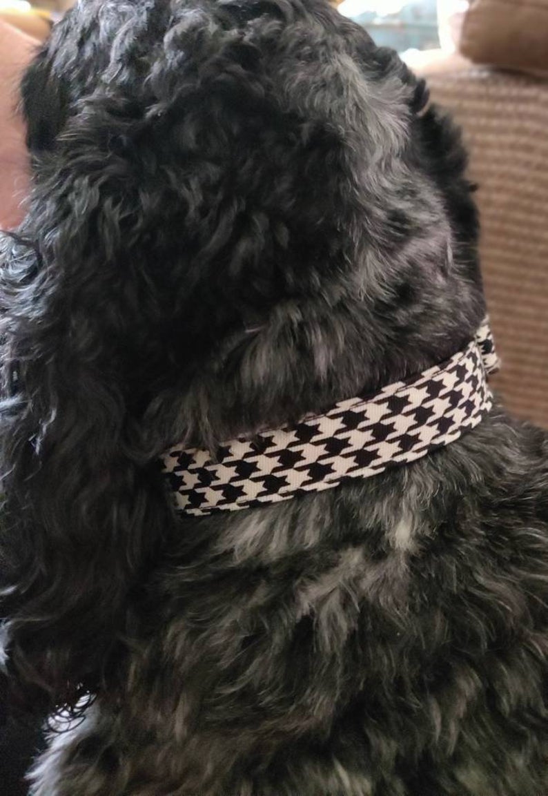 Black & White Houndstooth Check Dog Collar on Biggles the Dog