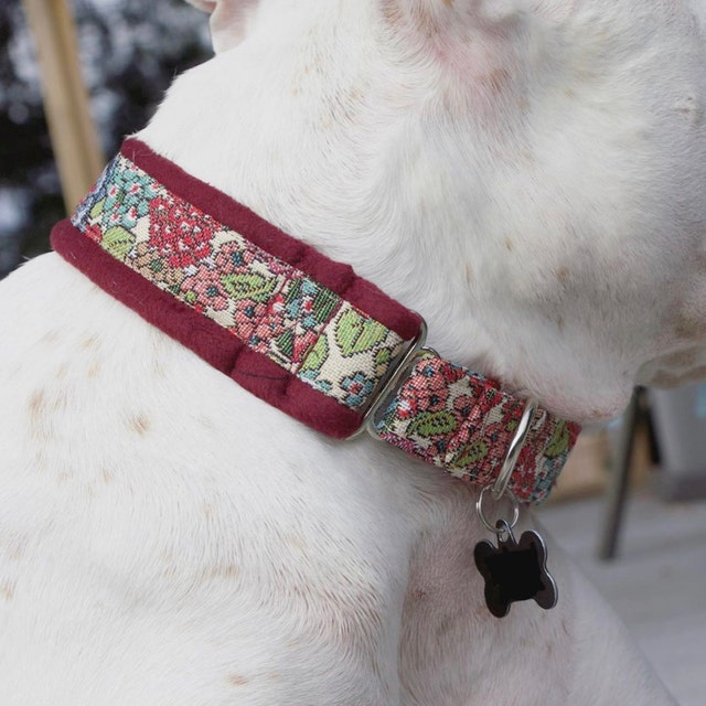Tapestry Floral Fleece Lined Martingale/Half-Check Dog Collar on Dog
