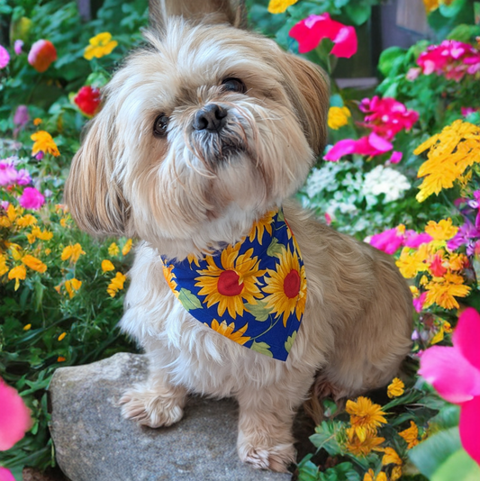 Dog wearing a Sunflower bandana
