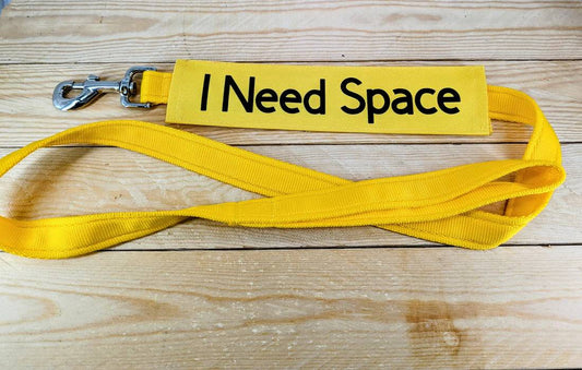 What Is a Dog Lead Slip Cover And Why You Might Need One