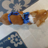 No Escape Dog Harness Attachment