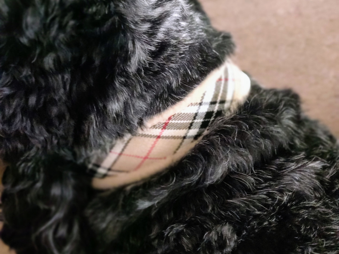 Camel Check Fleece Lined Martingale/Half-check Dog Collar