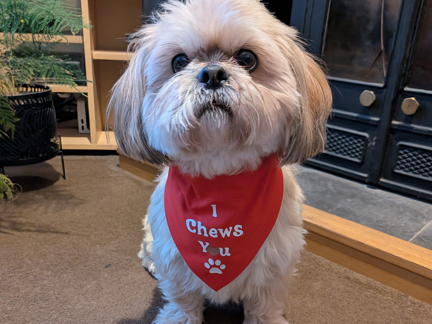 I Chews You Dog Bandana