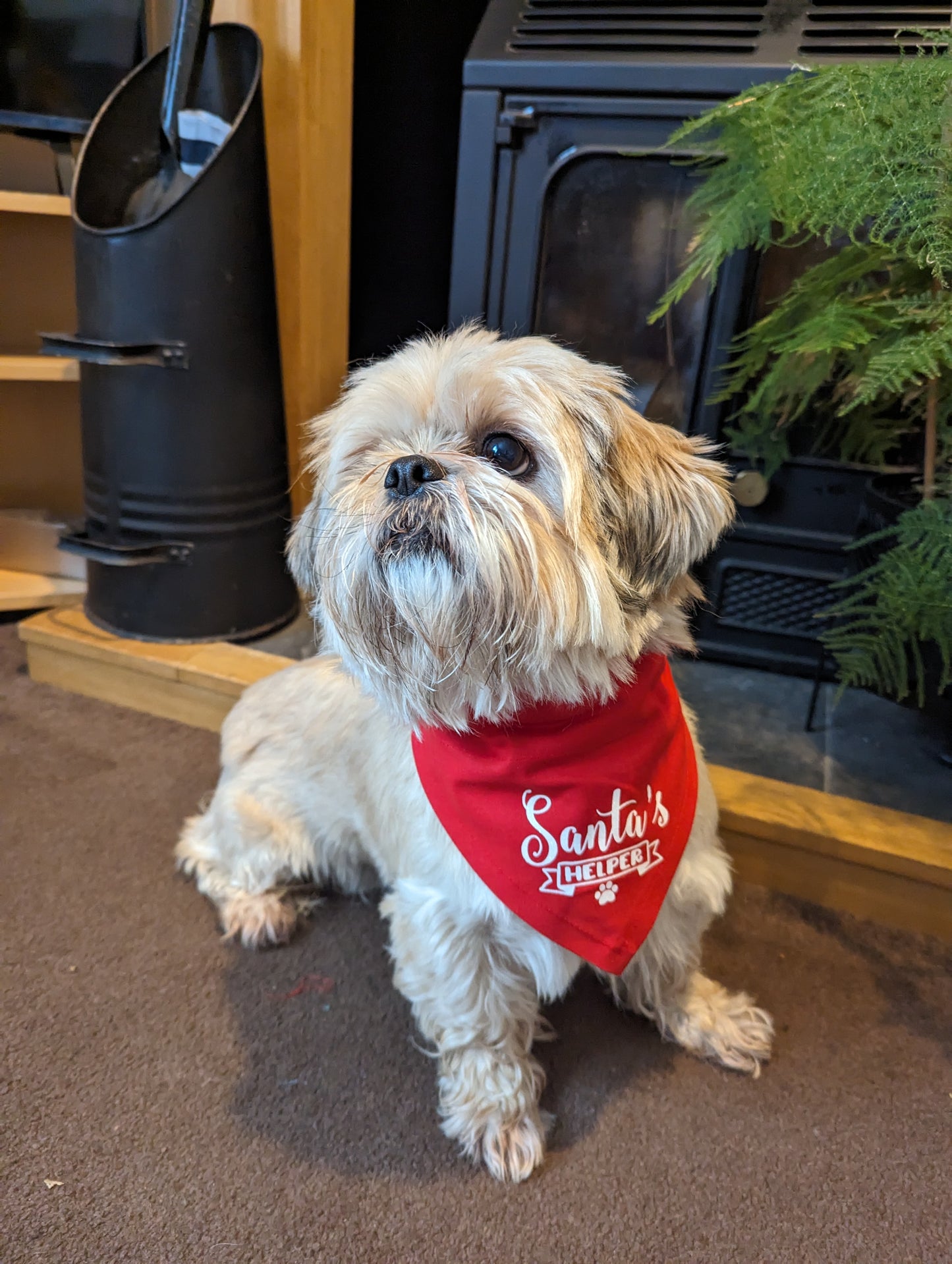 Santa's Helper Dog Bandana