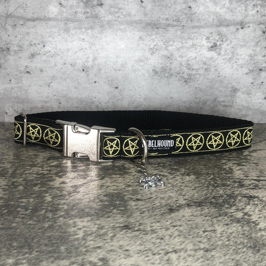 COVEN Gold Pentacles Dog Collar