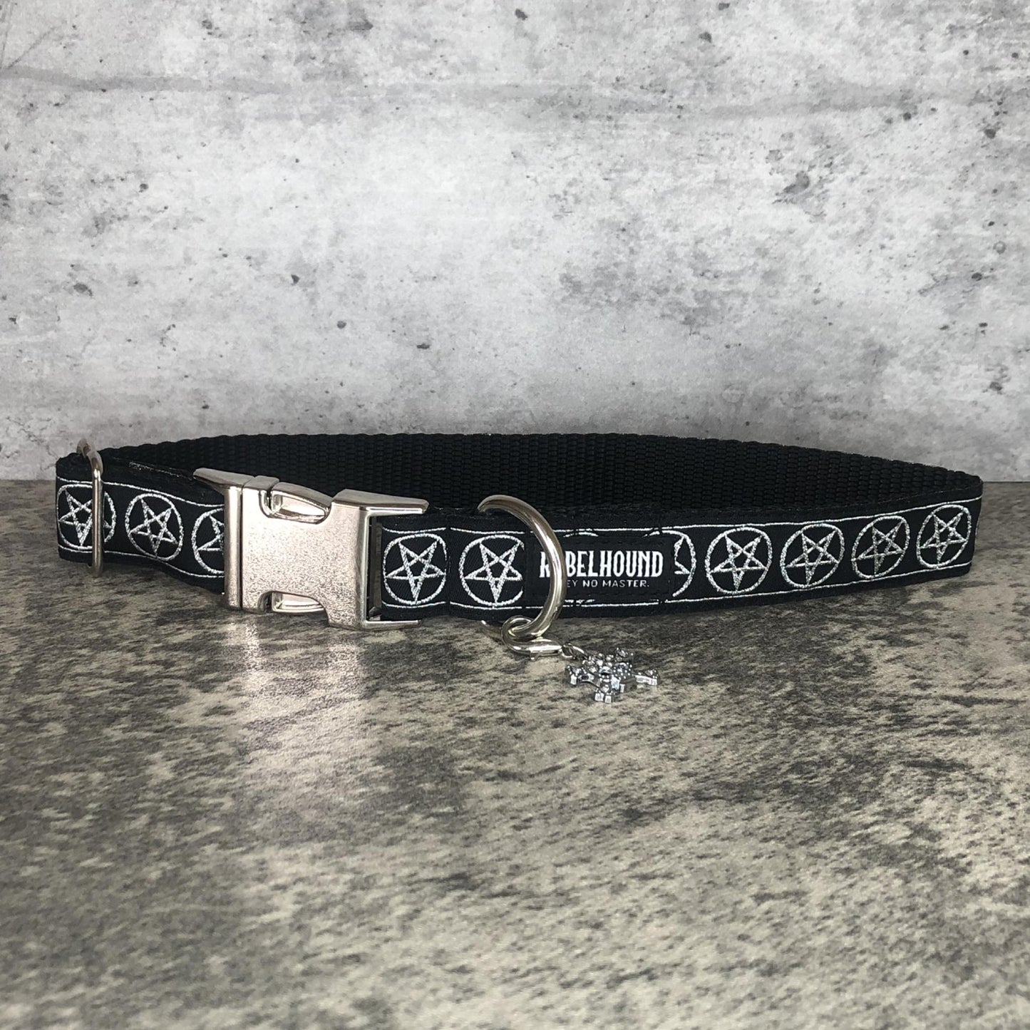 COVEN Silver Pentacles Dog Collar