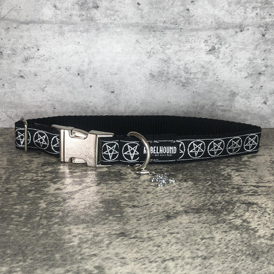 COVEN Silver Pentacles Dog Collar