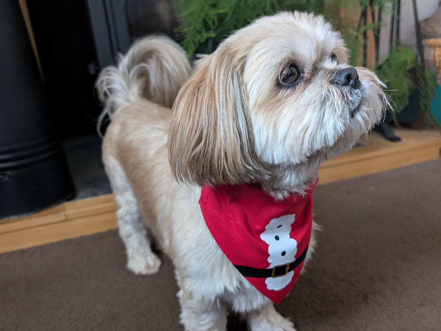 Santa Costume Dog Bandana