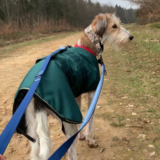 Camel Check Fleece Lined Martingale/Half-check Dog Collar