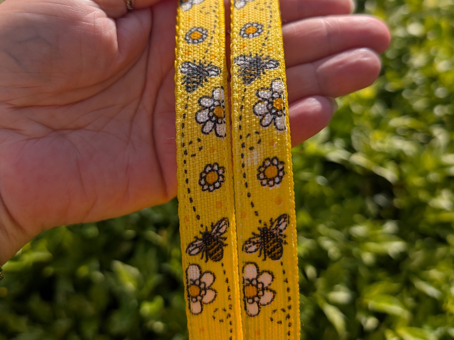 Yellow Bee Small Dog/Puppy Collar