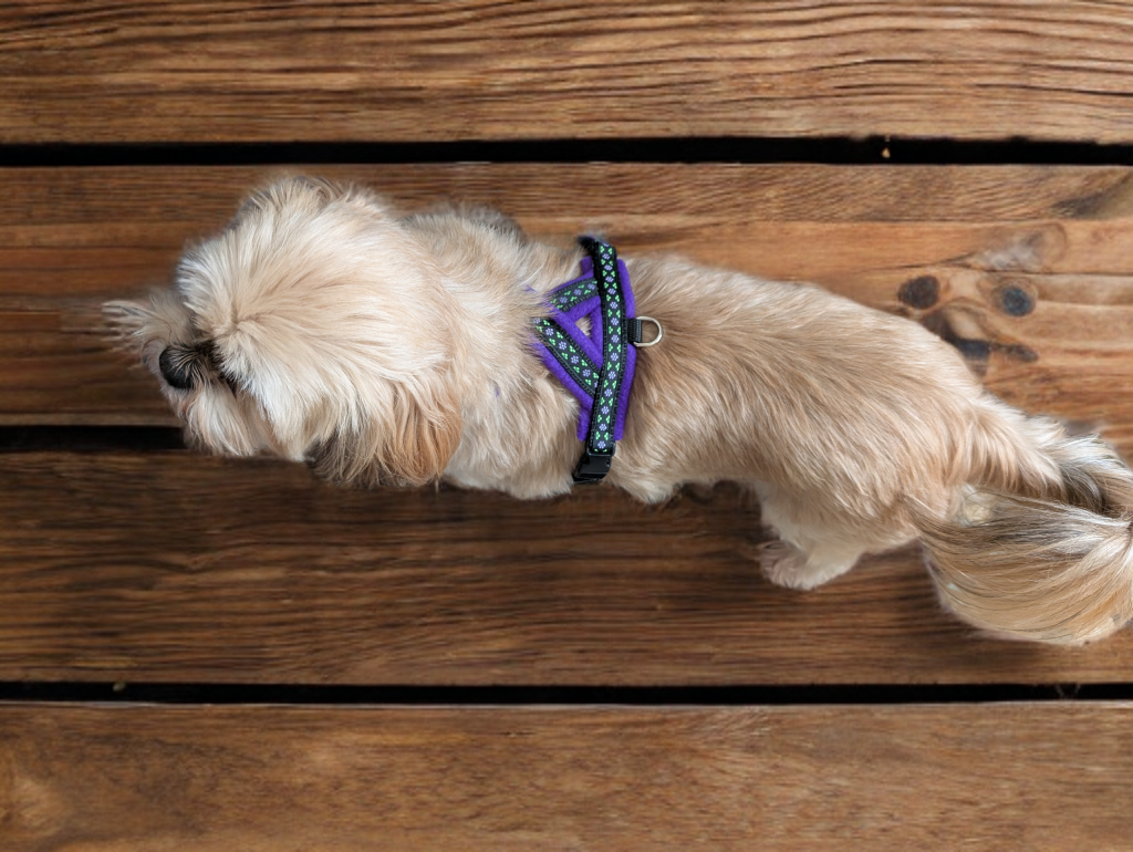 Purple and Black Fleece Lined Small Dog Harness