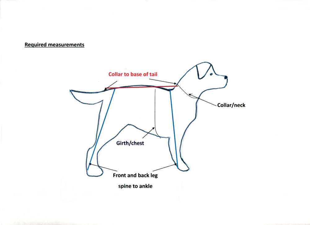 How to measure your dog for the right fit of dog harness